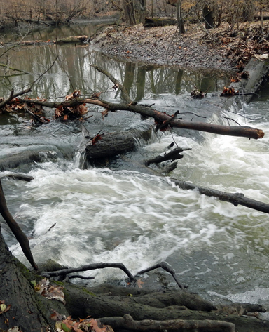 HNPA Roaring Creek-Newsletter